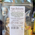 Hypothalamus ~ Endocrine Support ~ WIP