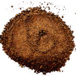 JavaJavyJolt - Mushroom Brew